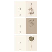 Kort dobbelt 3 ass blomstermotiver 40 stk pr motiv