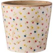 Skjuler petit fleur