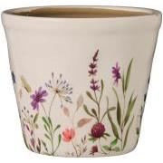 Skjuler Nordic Bloom