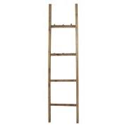 Ladder display w/12 hooks