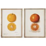 Picture w/citrus fruits 2 asstd in wooden frame