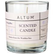 Duftlys ALTUM Evening Bliss