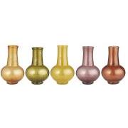 Vase Anemone w/wide neck 5 asstd colours UNIQUE different sizes