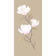 Serviet 10x20 cm beige m/magnoliagren 16 stk/pk