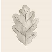 Kaffeserviet 12,5x12,5 cm egeblad forest treasures 20 stk/pk
