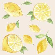 Napkin lemons 20 pcs per pack