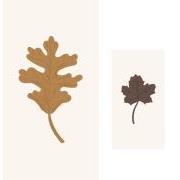 Serviet Fall Leaves forside: gult blad, bagside: brunt blad, 16 stk pr pakke