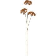 Blomsterstilk brun 3 skærmblomster