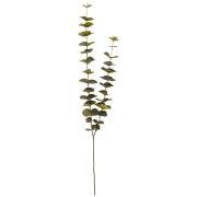 Eukalyptusstilk