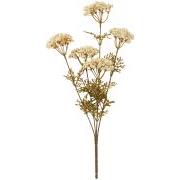 Blomsterstilk hvid 5 skærmblomster
