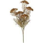 Blomsterstilk brun 5 skærmblomster