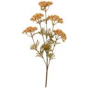 Blomsterstilk honey 5 skærmblomster