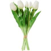 Tulipanbundt a 5 stk hvid