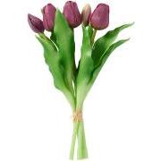 Tulipanbundt a 5 stk violet