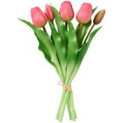 Tulipanbundt a 5 stk desert rose