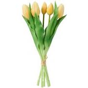 Tulipanbundt a 5 stk lysegul