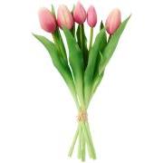 Tulipanbundt a 5 stk rosa m/hvid kant