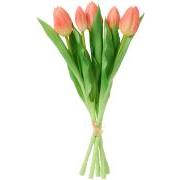 Tulipanbundt a 5 stk sienna