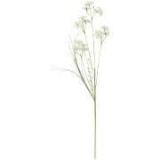Blomsterstilk hvide blomster