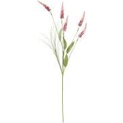 Blomsterstilk pink blomster