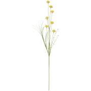 Blomsterstilk gule blomster