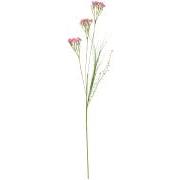 Blomsterstilk pink blomster