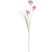 Blomsterstilk pink blomster