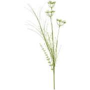 Blomsterstilk hvide skærmblomster