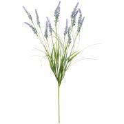 Blomsterstilk lavendel